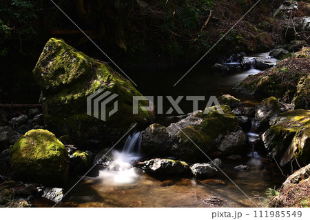 木漏れ日が差し込む森の中の小さな滝 111985549