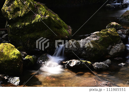 小さな滝 111985551