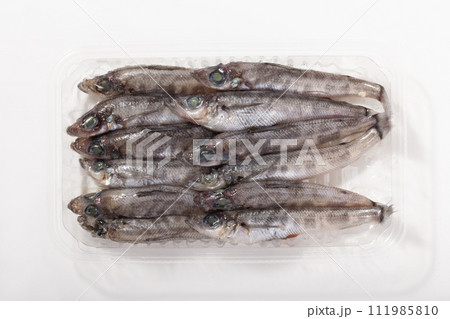 ［宮城県産］メヒカリ 111985810