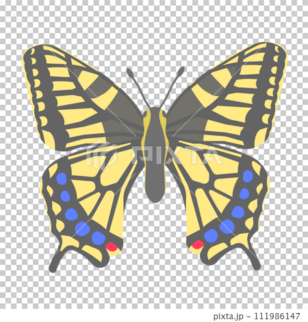 Illustration of swallowtail butterfly Illustration of swallowtail butterfly 111986147