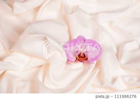 Lovely orchid flower on beige satin bedding. 111986276