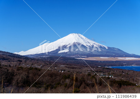 富士山 山中湖パノラマ台より 富士山 山中湖パノラマ台より 111986439