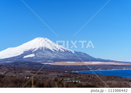 富士山　山中湖パノラマ台より 111986442