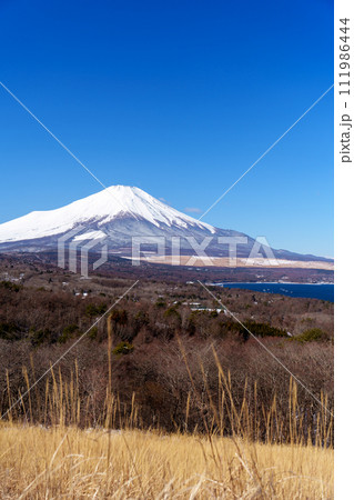 富士山　山中湖パノラマ台より 111986444