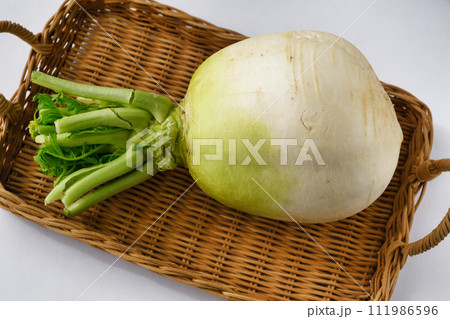 聖護院大根 聖護院大根 111986596