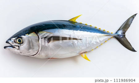 Whole Yellowfin Tuna Isolated on White Background 111986904