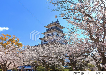 【愛媛県】桜咲く春の今治城（日本三大水城） 111986957