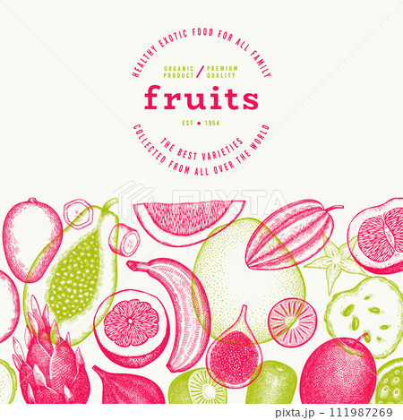Tropical Fruit Design Template. Vector Hand Drawn Exotic Fruit Banner. Vintage Style Menu Illustration. 111987269
