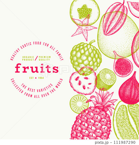 Tropical Fruit Design Template. Vector Hand Drawn Exotic Fruit Banner. Vintage Style Menu Illustration. Tropical Fruit Design Template. Vector Hand Drawn Exotic Fruit Banner. Vintage Style Menu Illustration. 111987290