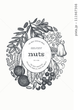 Hand Drawn Nuts Branch And Kernels Template. Organic Seed Vector Design. Retro Nut Illustration. Engraved Style Botanical Banner. Hand Drawn Nuts Branch And Kernels Template. Organic Seed Vector Design. Retro Nut Illustration. Engraved Style Botanical Banner. 111987308