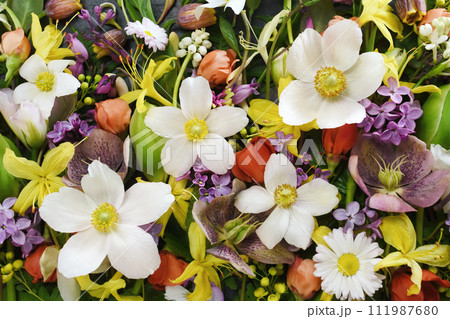 Delicate blooming festive begonias and bright summer flowers, blossoming flower background, bouquet floral card 111987680