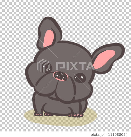 Cute black French bulldog sitting and tilting its head 111988034