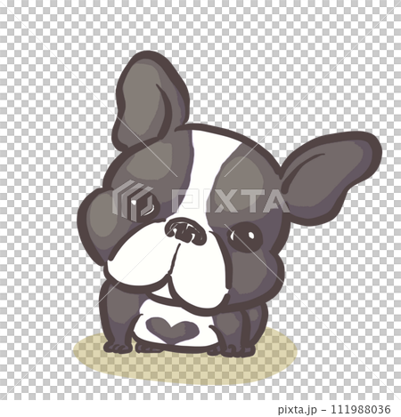 おすわりして首をかしげるキュートな白黒のフレンチブルドッグ 111988036