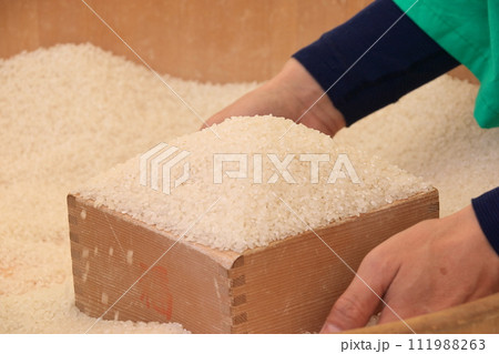 新米　日本の主食　おいしいお米 111988263