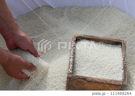 新米 日本の主食 おいしいお米 新米 日本の主食 おいしいお米 111988264