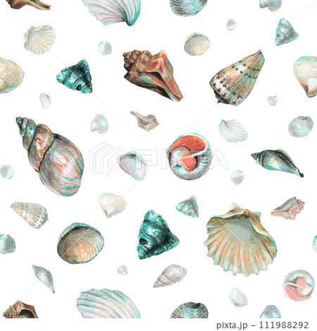 Seashell Pattern on isolated background. Hand drawn watercolor seamless ornament with Sea Shells for wrapping paper or textile in nautical style. Underwater illustration with cockleshell and scallop. 111988292