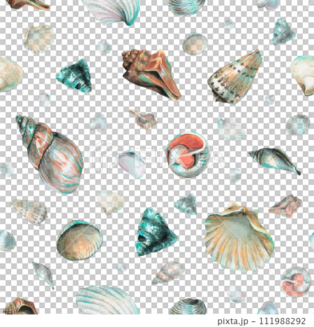 Seashell Pattern on isolated background. Hand drawn watercolor seamless ornament with Sea Shells for wrapping paper or textile in nautical style. Underwater illustration with cockleshell and scallop. Seashell Pattern on isolated background. Hand drawn watercolor seamless ornament with Sea Shells for wrapping paper or textile in nautical style. Underwater illustration with cockleshell and scallop. 111988292