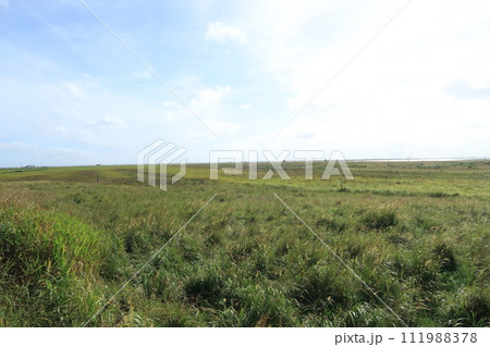 北海道 野付半島 トドワラ付近の木道から眺める海岸 111988378