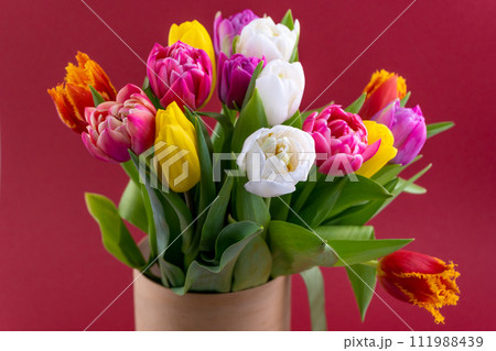 Bouquet of colorful tulips. Tulip spring flower. Floral flowers background 111988439