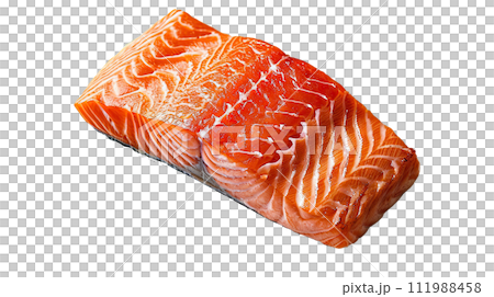 Salmon Raw Fillet isolated on a White Salmon Raw Fillet isolated on a White 111988458