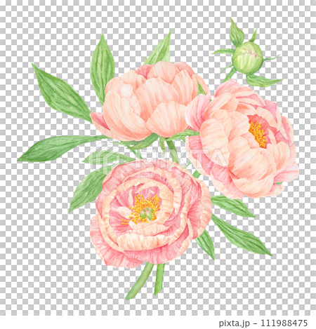 Peach peony bouquet watercolor hand drawn painting. Chinese national symbol illustration. Realistic flower clipart, floral arrangement for card design, wedding invitation, prints, textile, packing Peach peony bouquet watercolor hand drawn painting. Chinese national symbol illustration. Realistic flower clipart, floral arrangement for card design, wedding invitation, prints, textile, packing 111988475