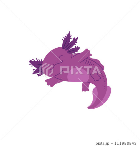 Smiling pink axolotl. Vector illustration 111988845