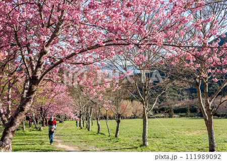 カジュアル 無造作 無頓着 111989092