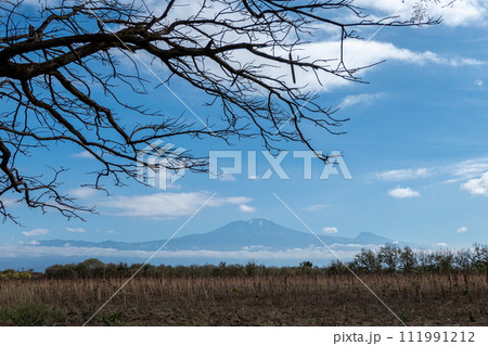 Tanzania, view of Kilimanjaro or Kilimandjaro 111991212