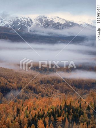 snow mountains and forests covered with morning fog snow mountains and forests covered with morning fog 111991444