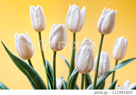 A bouquet of white tulips on on yellow solid background A festive birthday card, March 8th, a spring gift. AI generated 111991805