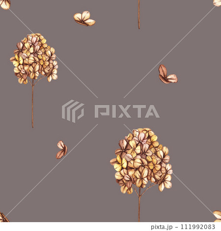 Seamless pattern with branch of dried hydrangea, flowers and wild dry grass. Vintage wallpaper in boho style with herbs and wildflowers. Floral garden elements 111992083