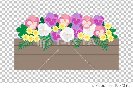 プランターに入ったピンク色と紫色のパンジーのイラスト 111992852