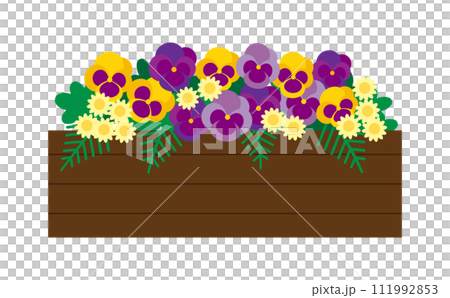 プランターに入った紫色と黄色のパンジーのイラスト 111992853