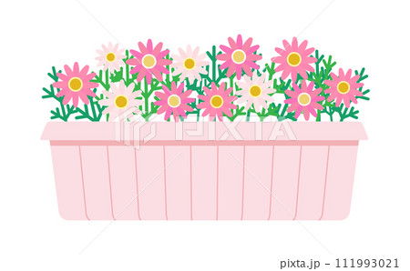 プランターに入った淡いピンク色のマーガレットのイラスト プランターに入った淡いピンク色のマーガレットのイラスト 111993021