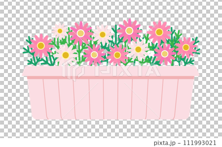 プランターに入った淡いピンク色のマーガレットのイラスト プランターに入った淡いピンク色のマーガレットのイラスト 111993021