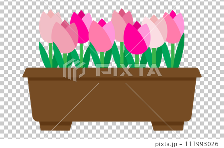 花盆中粉紅色鬱金香的插圖 花盆中粉紅色鬱金香的插圖 111993026