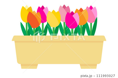 プランターに入ったカラフルなチューリップのイラスト 111993027
