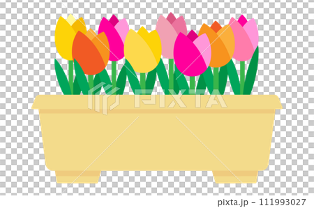 Illustration of colorful tulips in a planter 111993027