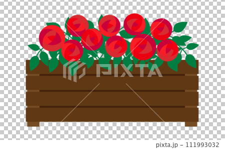 花盆裡的紅玫瑰插圖 111993032