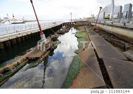 神戸港震災メモリアルパークの風景 神戸港震災メモリアルパークの風景 111993144