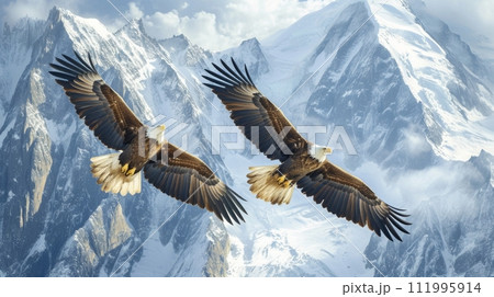 Noble eagles soaring high above snow-capped mountain peaks, symbols of freedom and strength 111995914