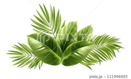 Tropical Palm Leaves. Palm Tree Plant Leaf 111996005