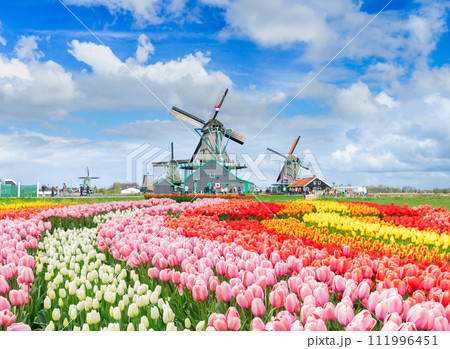 Dutch wind mills Dutch wind mills 111996451