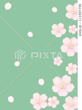 桜の花 111997796