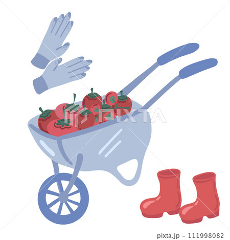 Garden cart wellies and gloves tomato fat design on white background 111998082