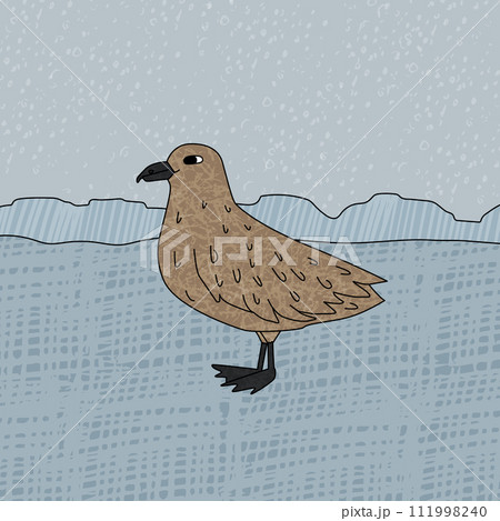 Skua bird is on the snow. Vector hand drawn cartoon childish illustration on the blue background. Polar animal in Antarctica with textures Skua bird is on the snow. Vector hand drawn cartoon childish illustration on the blue background. Polar animal in Antarctica with textures 111998240