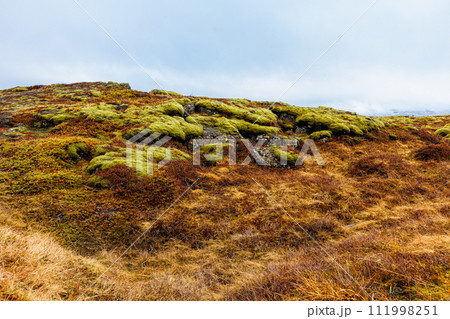 Magnificent meadows and sights unique to Iceland located inside hills and valleys highland of Thingvellir national park. Wonderful icelandic scenery in gorgeous rustic location. 111998251