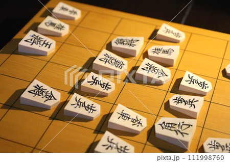 将棋の棋王戦第2局投了棋譜 111998760