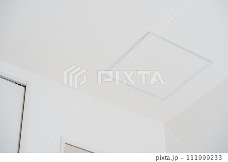 天井点検口 111999233