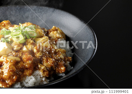 お豆腐たっぷりの長葱乗せ熱々麻婆丼を黒背景で撮影 111999401